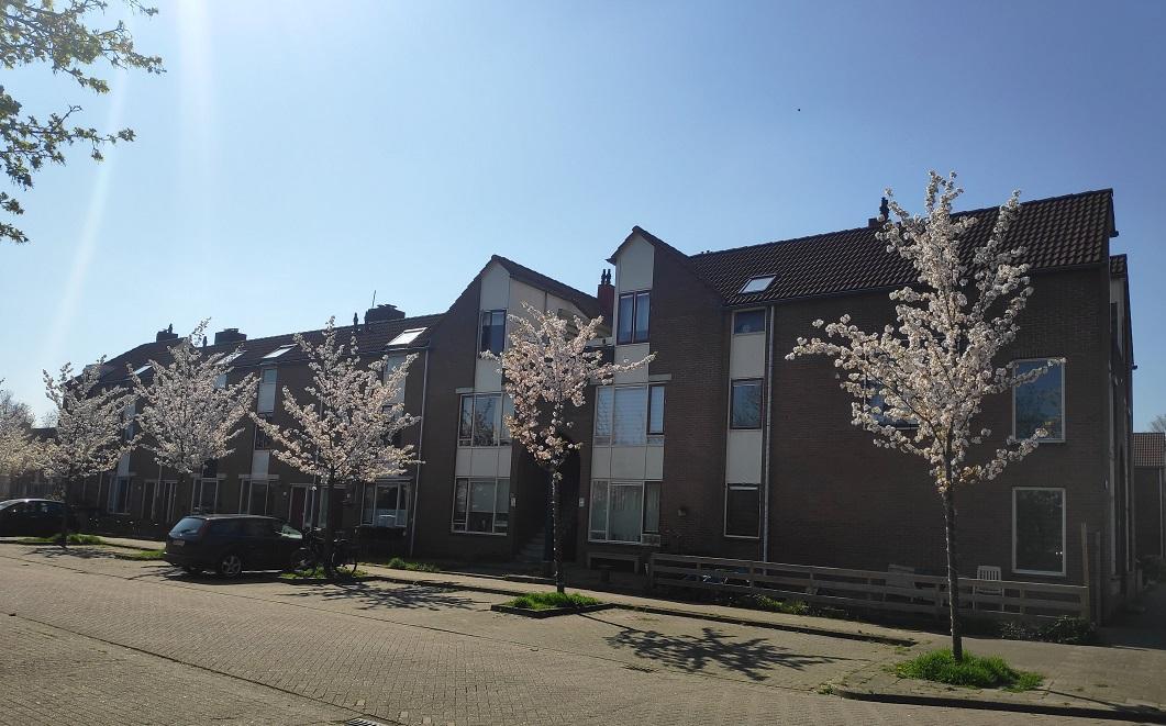 Straatbeeld Groef Stijl en Messing