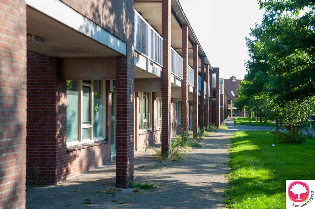 Straatbeeld Pergola in de Kersenboogerd